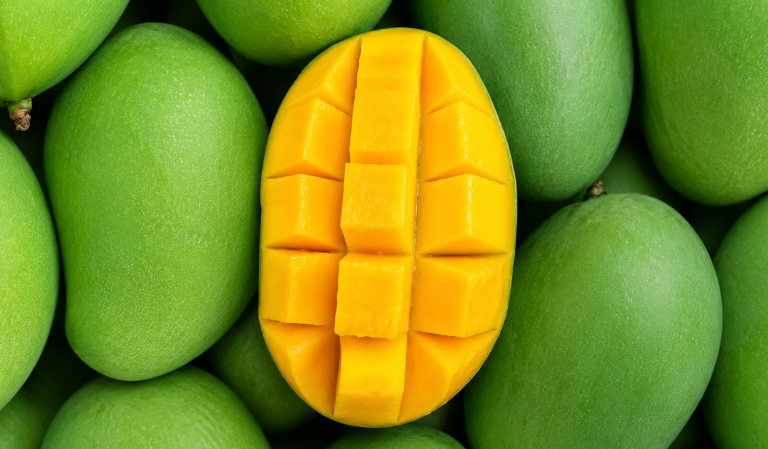 Mangga King Terengganu: Harum Manis Kini Turut Diusahakan di Negeri Penyu