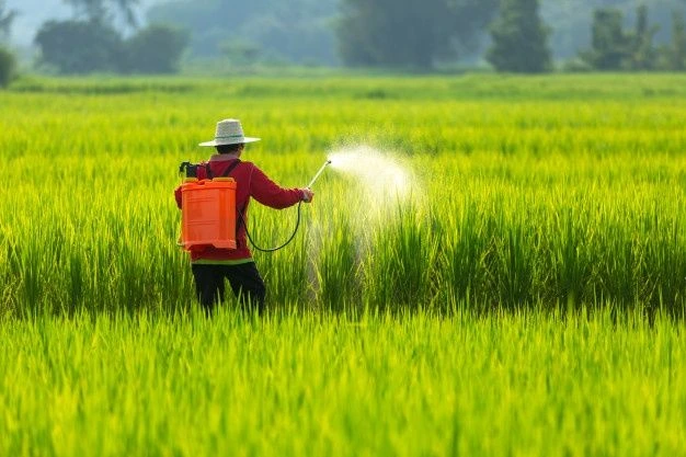 Pesawah Terengganu mengusahakan sawah padi